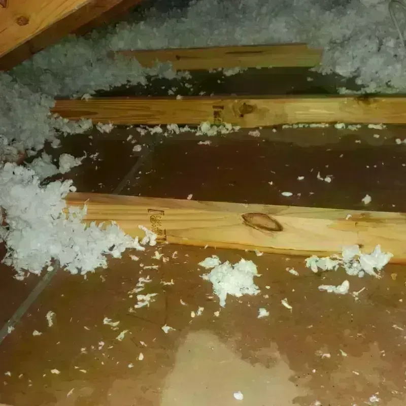 Attic Water Damage in Oxford, AL